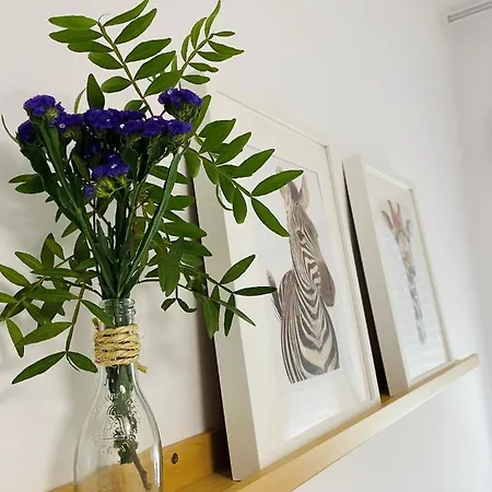 Meilan House Apartment *