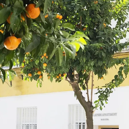 Meilan House * Cordoba